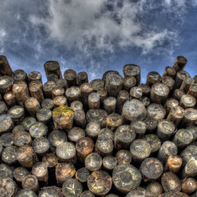 Timber for Sale Timber for Sale