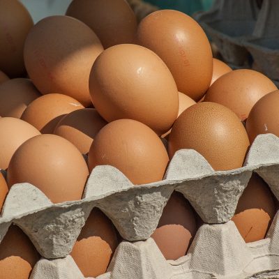 Free Range Eggs from Happy Hens Free Range Eggs from Happy Hens